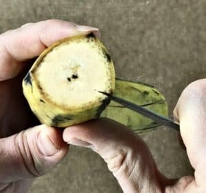 a hand holding a paring knife that's slicing into a plantain peel