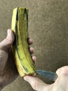 one hand holds a plantain while the other holds a paring knife slicing down the plantain peel
