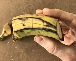 a hand holding up a plantain with slits in its peel