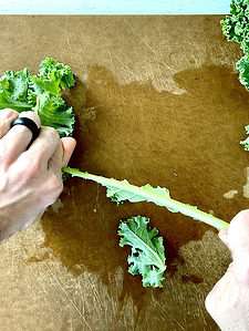 removing kale leaves from the stem
