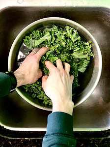 washing kale leaves in a bowl of water