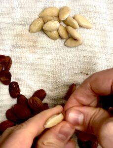 Two hands peeling the skin off of almonds on a towel.